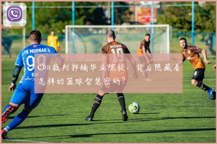 cba裁判郭楠毕业院校，背后隐藏着怎样的篮球智慧密码？