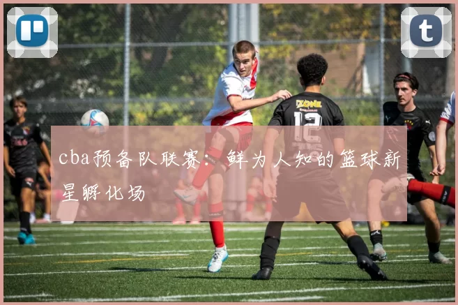 cba预备队联赛：鲜为人知的篮球新星孵化场