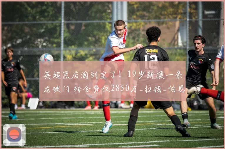 英超黑店淘到宝了！19岁新援一条龙破门 转会费仅2850万_拉扬_伯恩茅斯_比赛