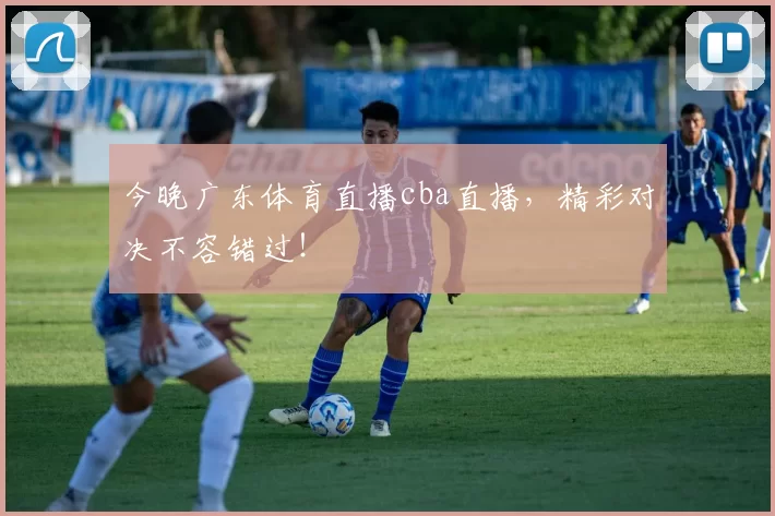 今晚广东体育直播cba直播，精彩对决不容错过！
