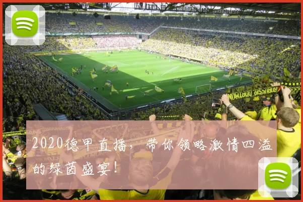 2020德甲直播，带你领略激情四溢的绿茵盛宴！