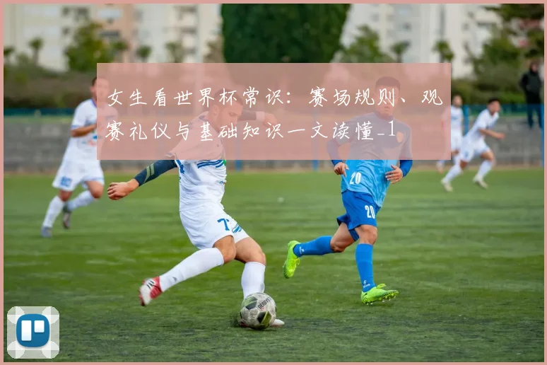 女生看世界杯常识:赛场规则、观赛礼仪与基础知识一文读懂_1