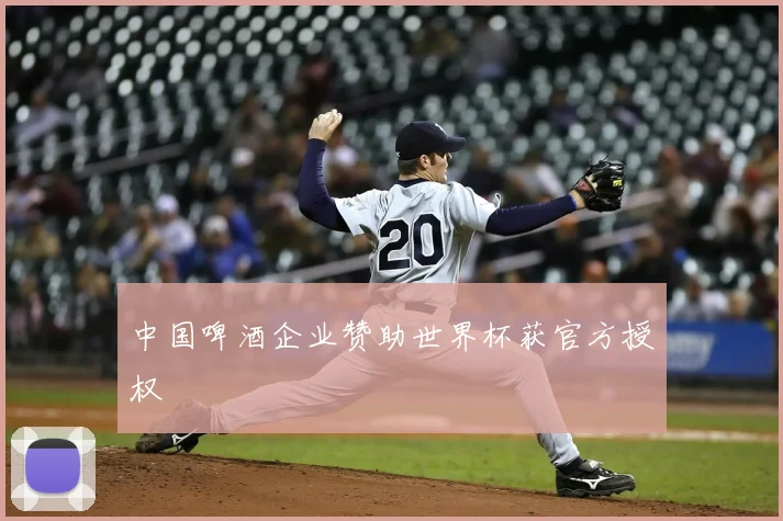 中国啤酒企业赞助世界杯获官方授权